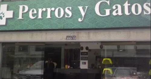 PERROS Y GATOS PERROS Y GATOS